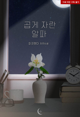 곱게 자란 알파